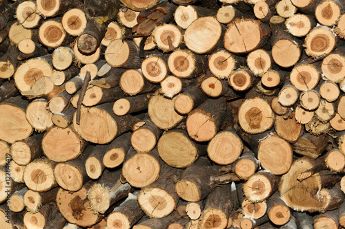 Stack of firewood background texture    