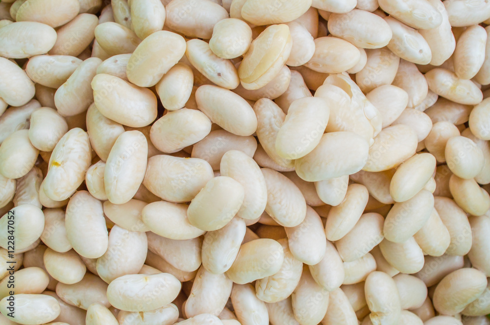 Boiled Dry Bean, Haricot, White Pea, White Kidney or Cannellini Boiled Dry Bean, Haricot, White Pea, White Kidney or Cannellini