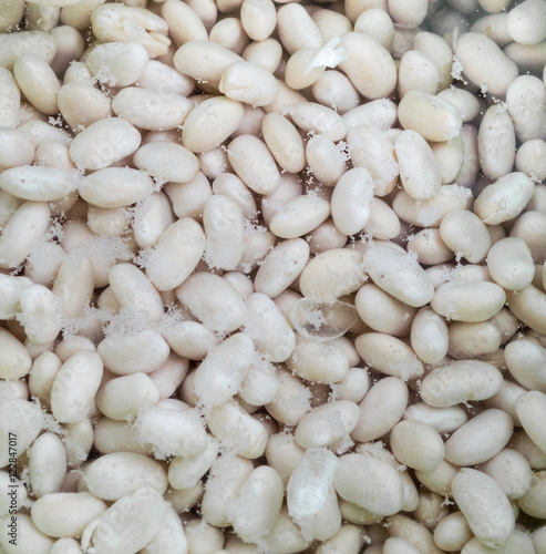 Dry Bean, Haricot, White Pea, White Kidney or Cannellini Purga i