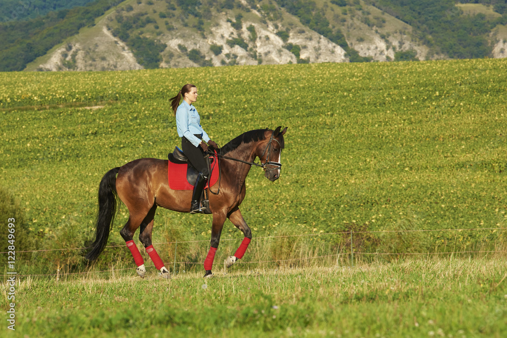 Beautiful woman on a horse