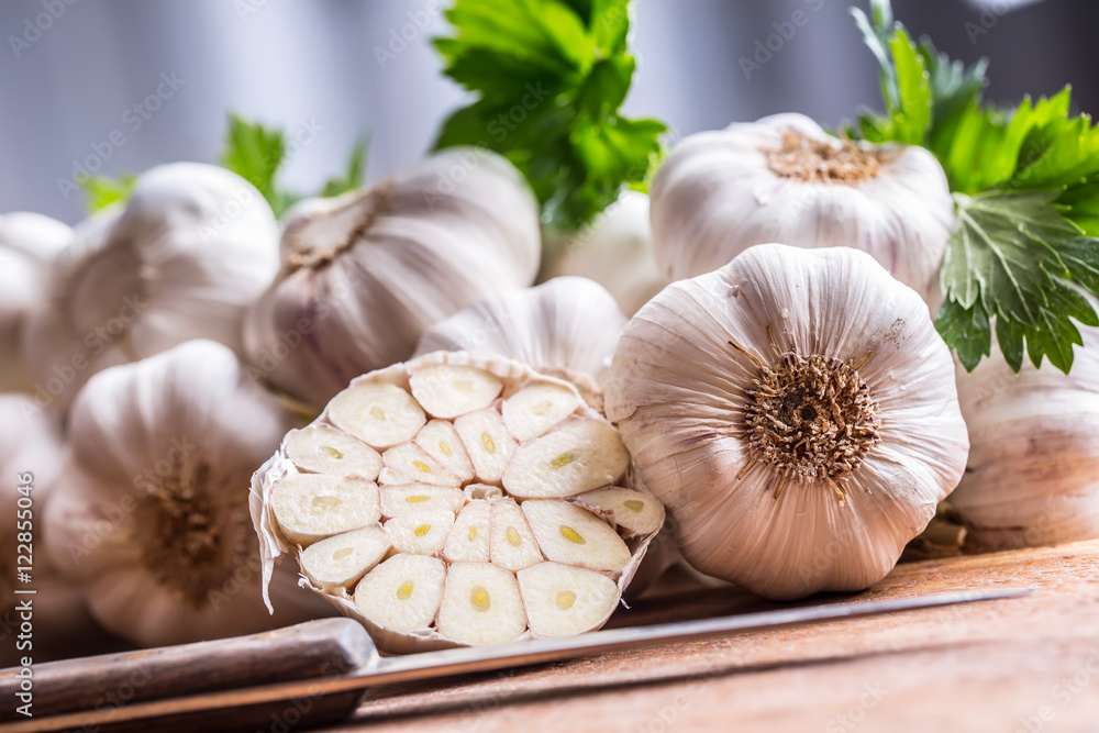 Garlic. Bunch of fresh garlic with celery herbs. Garlic. Bunch of fresh garlic with celery herbs.
