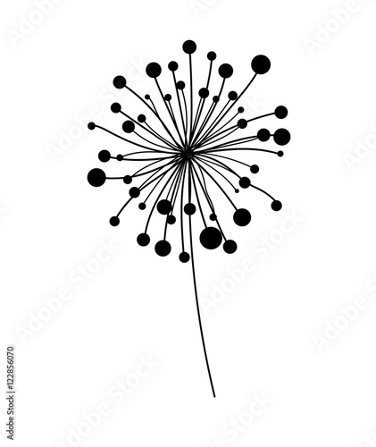 Fototapeta Naklejka Na Ścianę i Meble -  Dandelion Vector