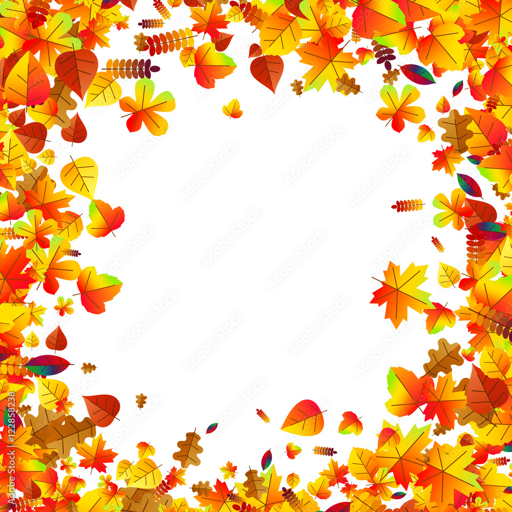 Autumn leaves scattered background. Oak, maple and rowan Autumn leaves scattered background. Oak, maple and rowan