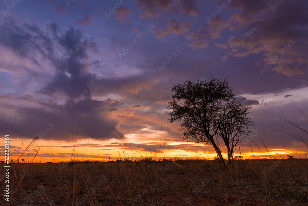 Abendstimmung in der Kalahari, Afrika Abendstimmung in der Kalahari, Afrika