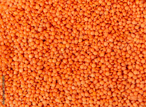 Pile of red lentil photo
