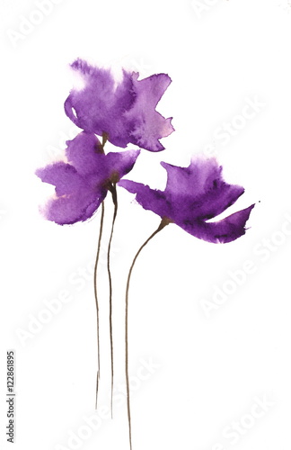 Abstract purple poppy flowers, watercolor impressionist style