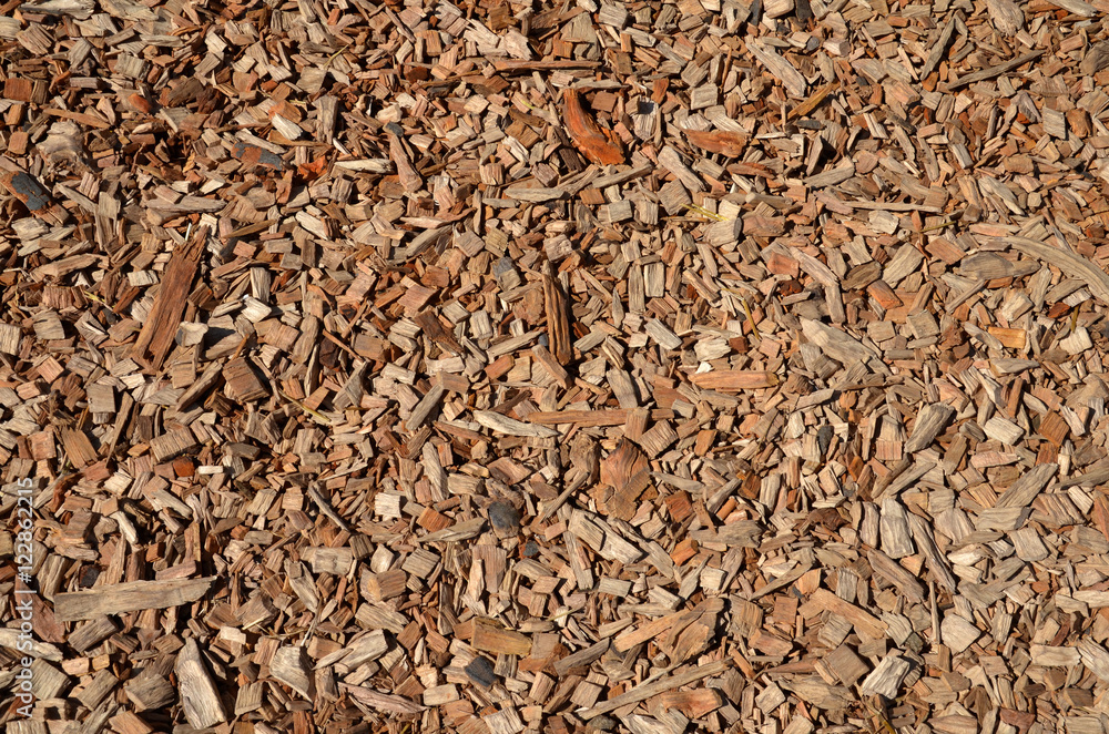 Mulch Mulch