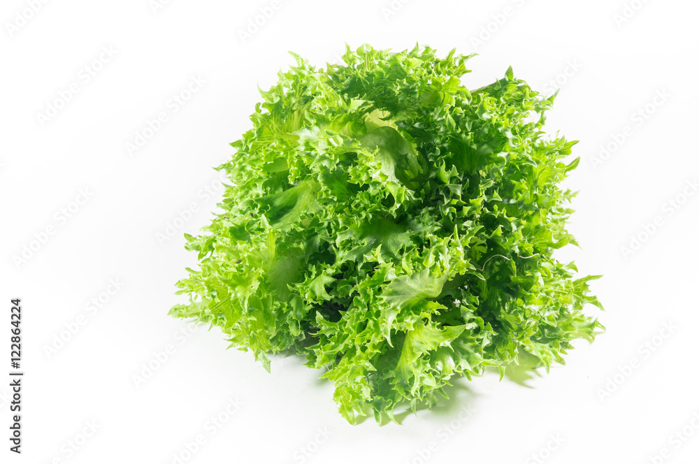 vegetable salad leaf isolated on white background. From Hydropon vegetable salad leaf isolated on white background. From Hydropon