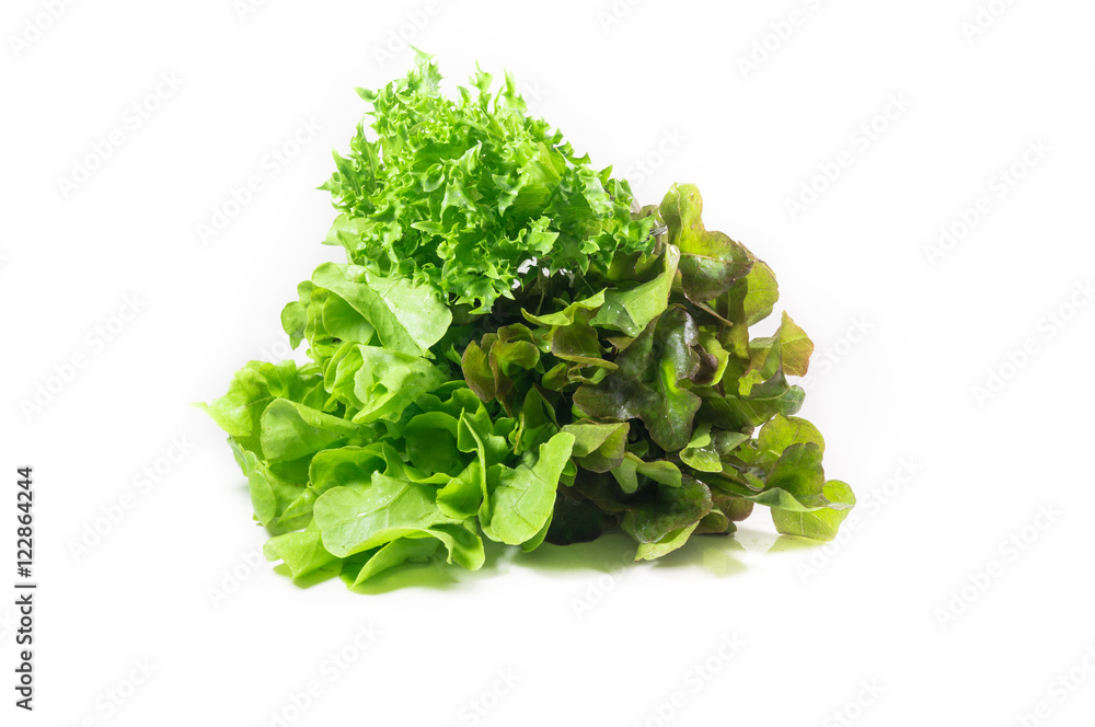 Obraz premium vegetable salad leaf isolated on white background. From Hydropon