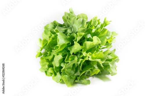 vegetable salad leaf isolated on white background. From Hydropon