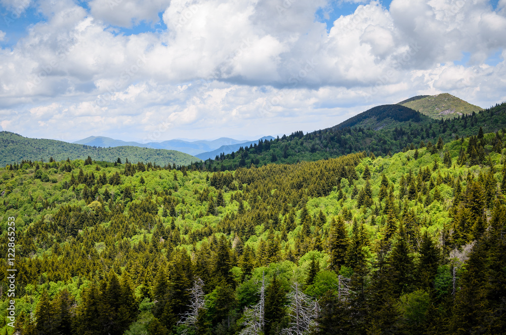 Fototapeta premium Blue Ridge Parkway