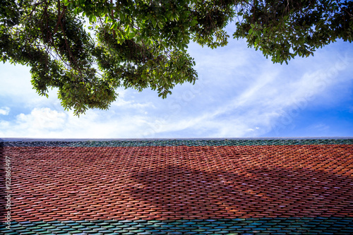 roof tiles with sky and branches