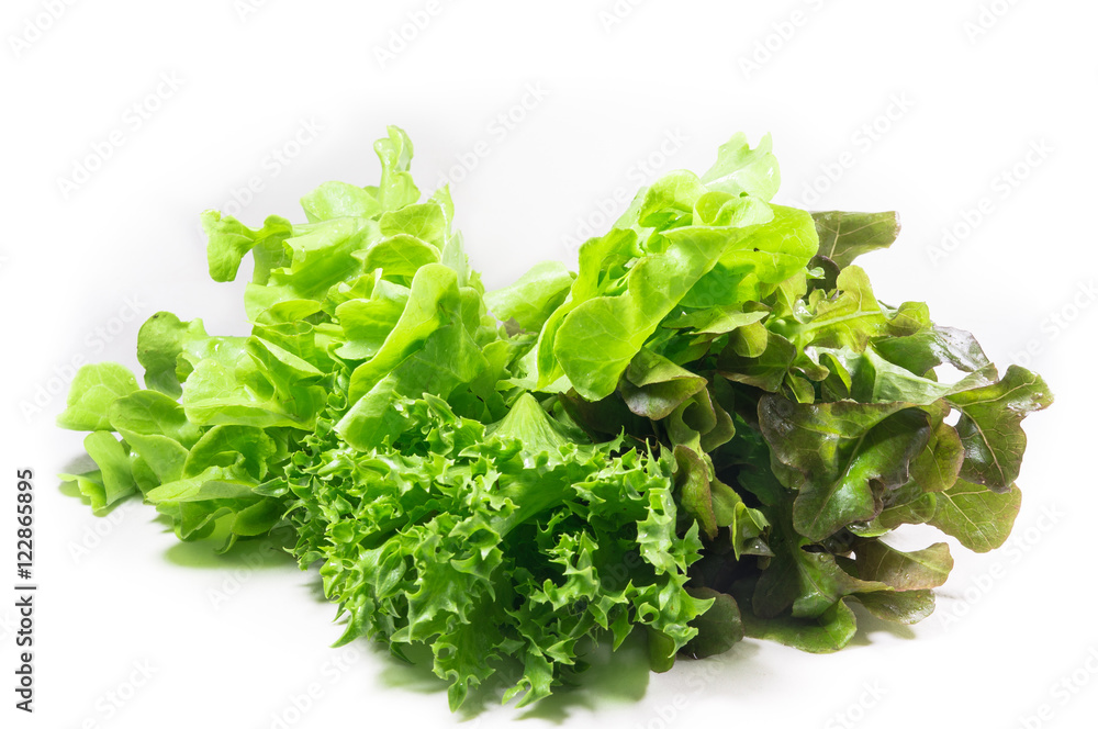 Fototapeta premium vegetable salad leaf isolated on white background. From Hydropon