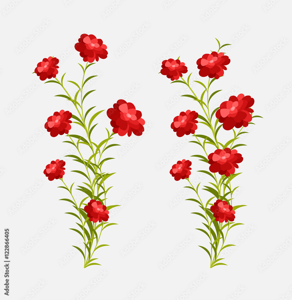 Growing Flowers Plants Growing Flowers Plants