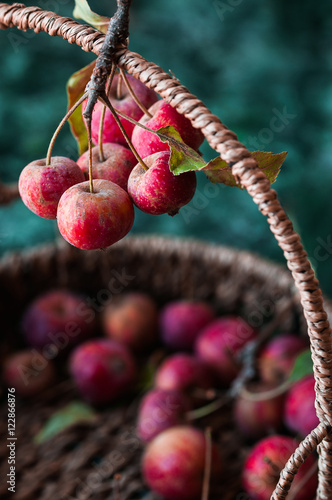 il manico ad arco di in cestino sostiene piccole mele rosse photo