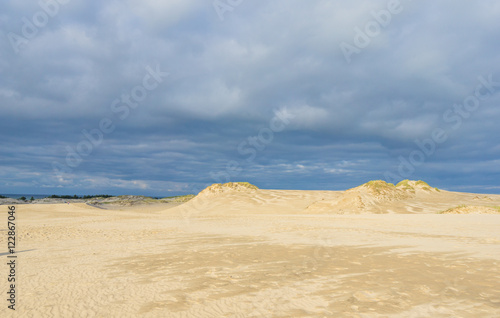 Sand dunes near a sea shore