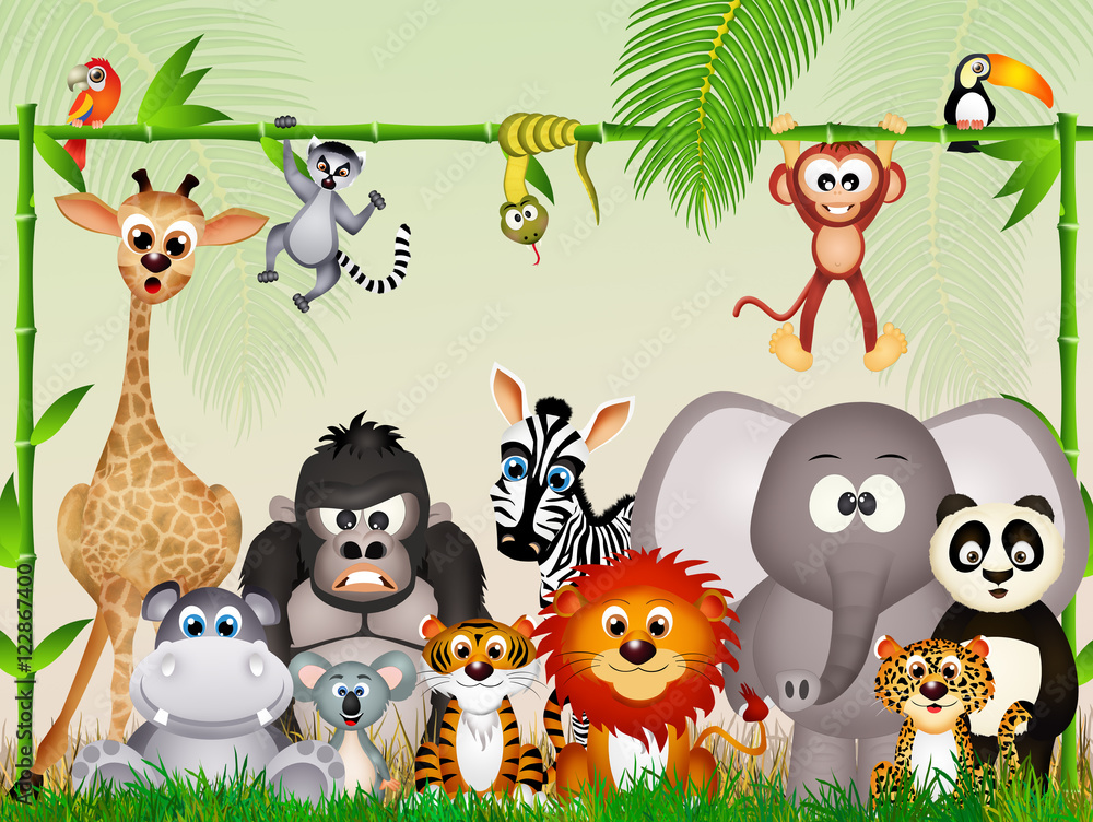 wild animals in the jungle