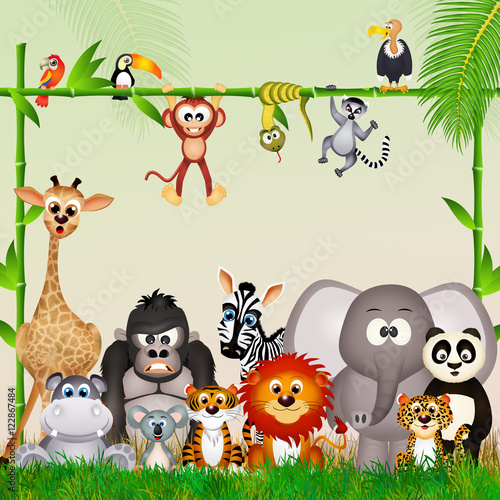 wild animals in the jungle