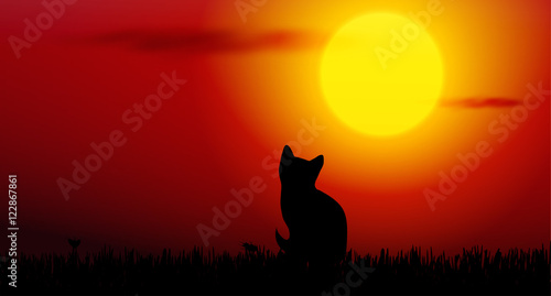 cat silhouette