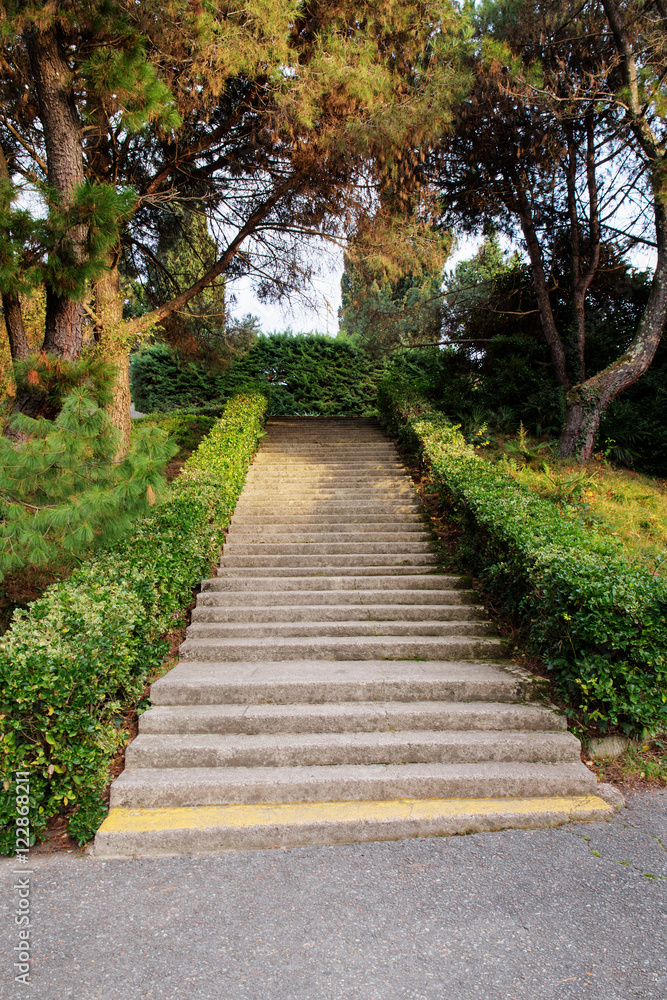 staircase in park