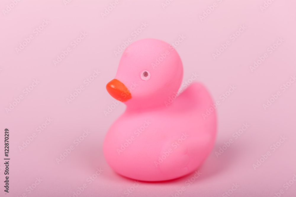 Cute pink rubber duck on pink background Cute pink rubber duck on pink background