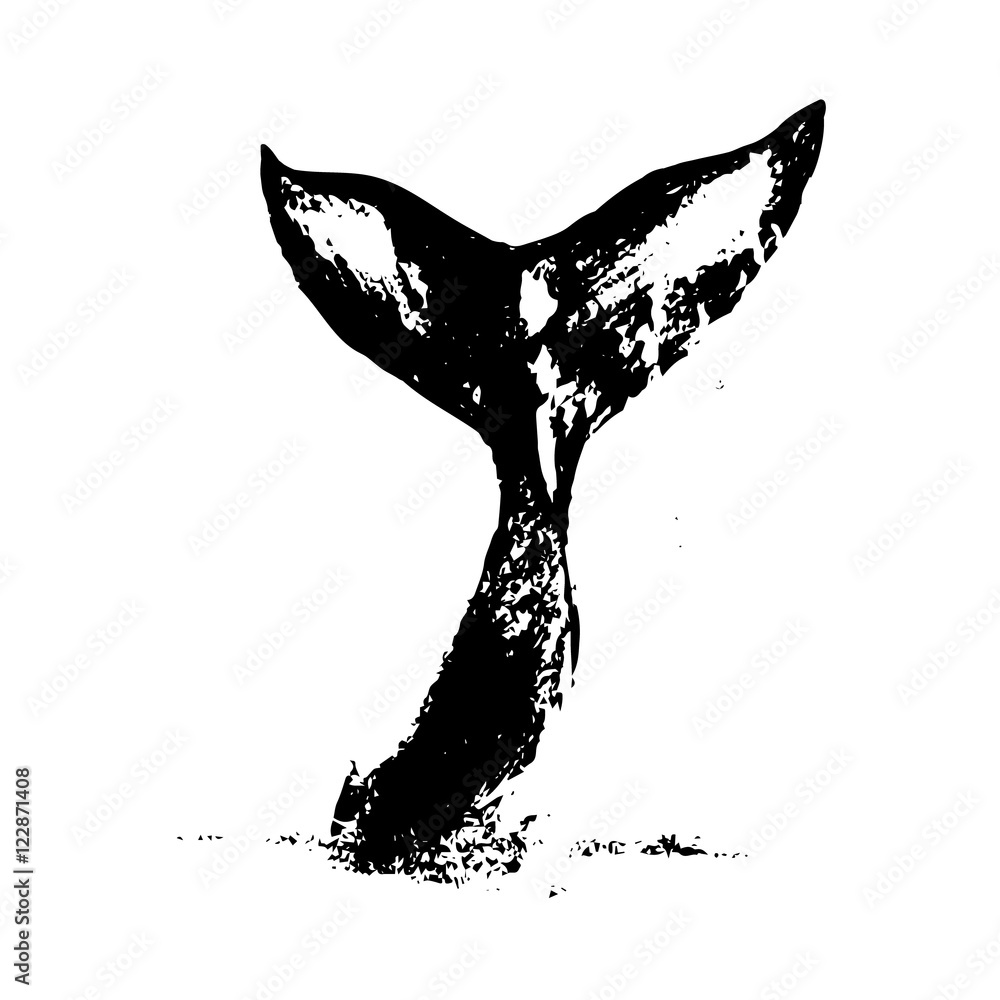Fototapeta premium Whale tail vector