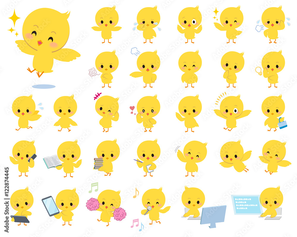 baby chick yellow bird baby chick yellow bird