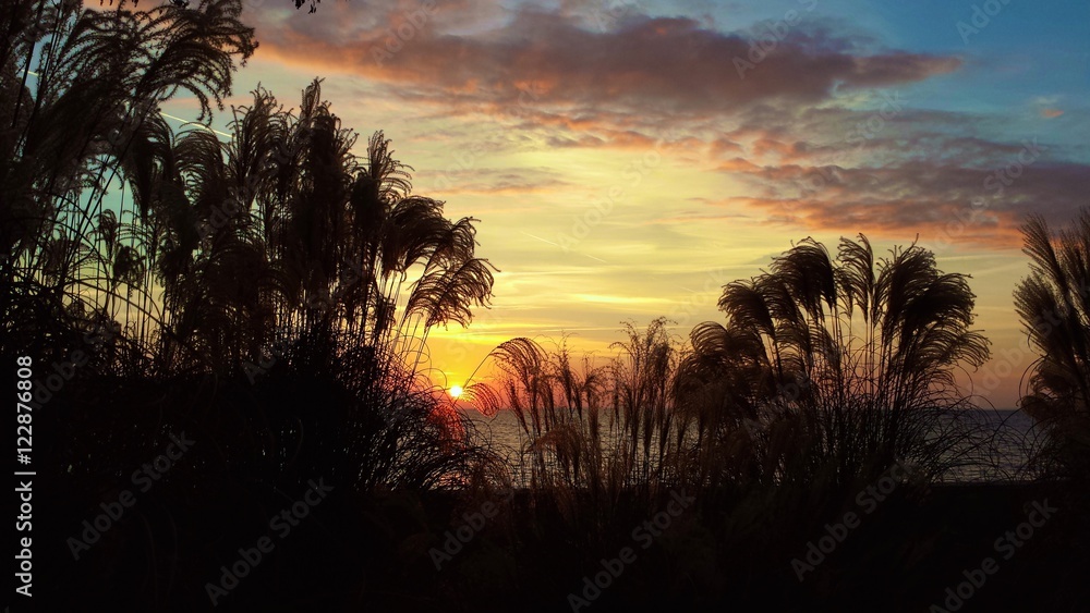 Dawn at Compo Beach