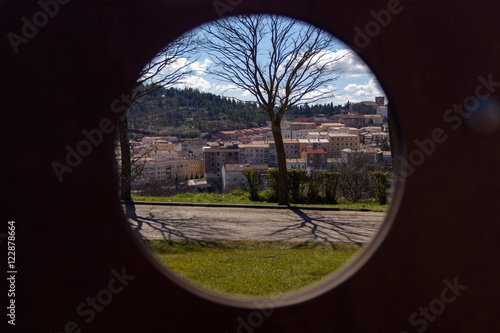 Another perspective of a tree in Soria.