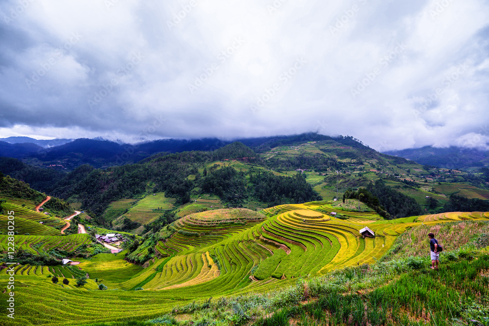 Terraced rice field view, La pa tan, Vietnam Terraced rice field view, La pa tan, Vietnam