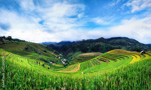 Terraced rice field view  La pa tan  Vietnam