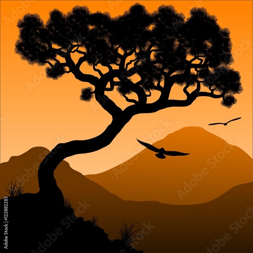Silhouette of a tree and mountains in the background sunrise.    © Vladimir Zadvinskii
