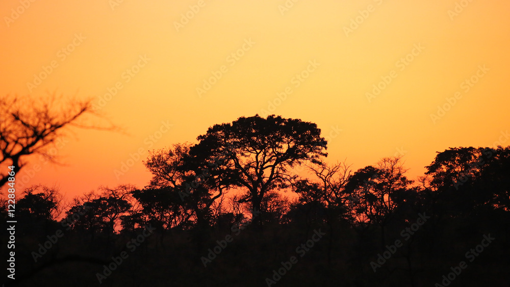 Kruger Park Sunrise