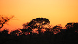 Kruger Park Sunrise