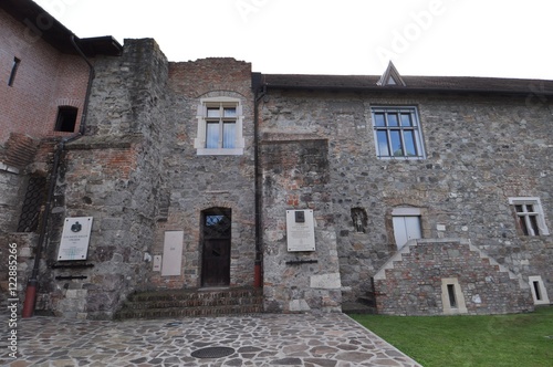 Fototapeta Naklejka Na Ścianę i Meble -  Royal castle of Esztergom