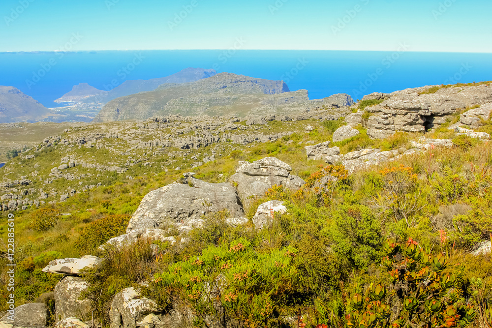 Landscape of plateau in Table Mountain National Park. Cape Town, Western Cape, South Africa.