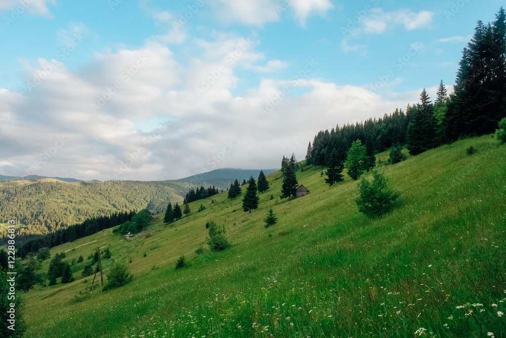 Carpathian mountains. Mountain oasis.