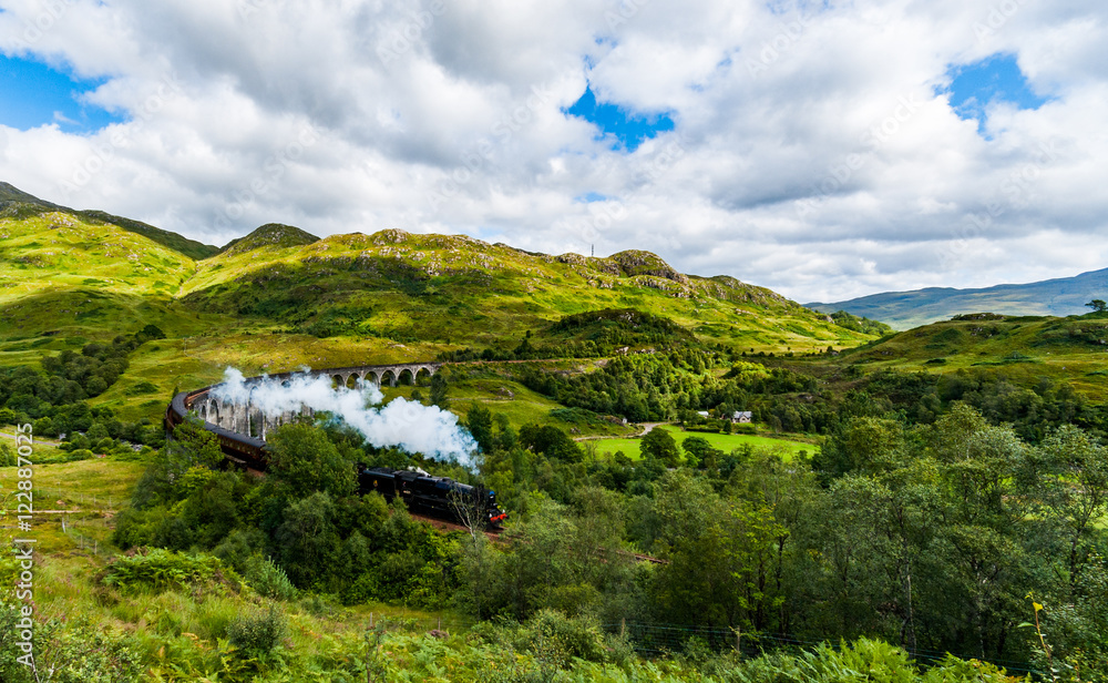 Obraz premium Steam Train on Viaduct