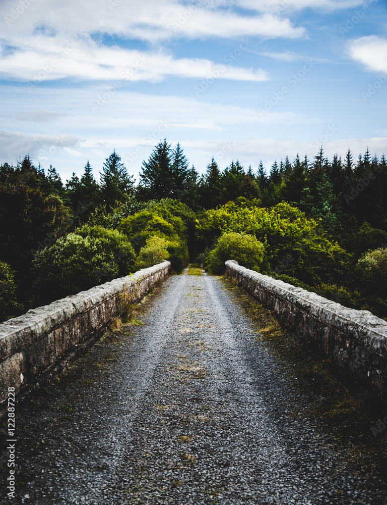 Fototapeta premium Viaduct at Loch Stroan