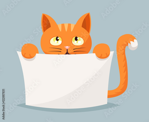 Cat beggar help animals cartoon character vector illustration