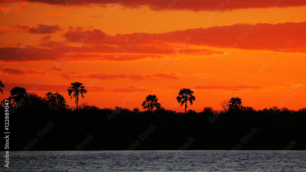 Sunset in Zambezi River