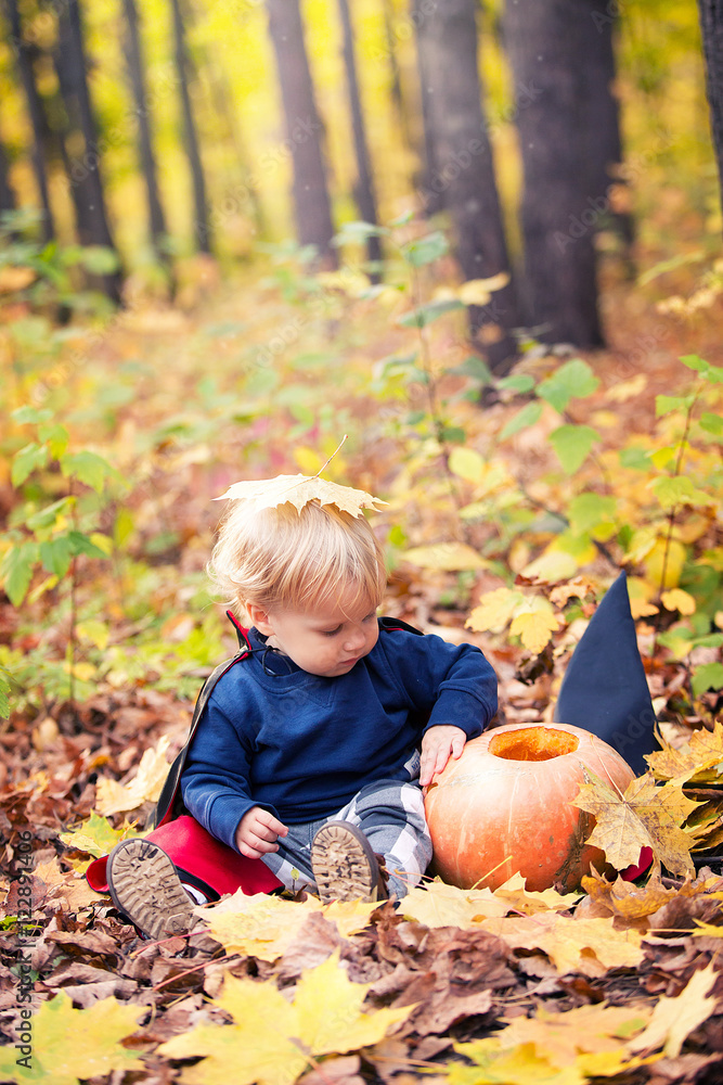 Halloween baby boy in dracula costume (cloak). Child in autumn forest looking at the falling leaves. Halloween pumpkin, witch hat, holiday concept Halloween baby boy in dracula costume (cloak). Child in autumn forest looking at the falling leaves. Halloween pumpkin, witch hat, holiday concept