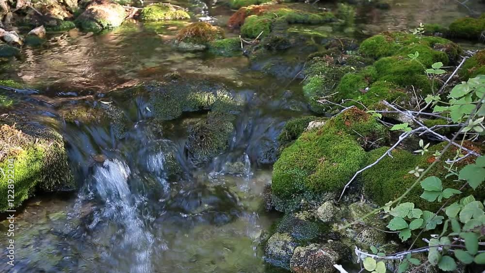 Wood River in summer, passing by the municipaly term of Paterna del Madera, Albacete, Spain. Horizontal capture with green tones. Wood River in summer, passing by the municipaly term of Paterna del Madera, Albacete, Spain. Horizontal capture with green tones.