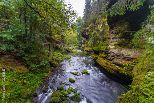 Kamnitzklamm Einzigartige Landschaft in der Böhmische Schweiz Tschechische Republik