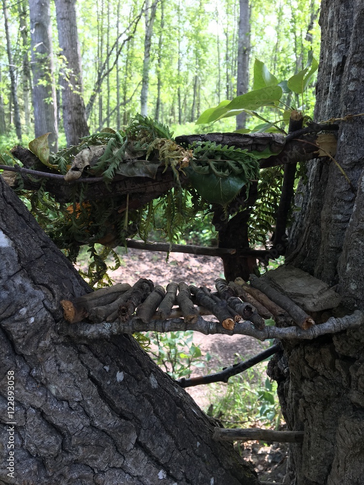 Fototapeta premium Fairy House in a Tree