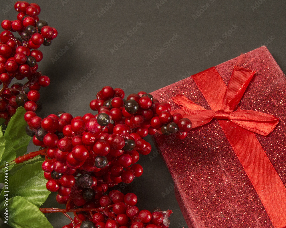 Holly Berries and Christmas Gift Holly Berries and Christmas Gift