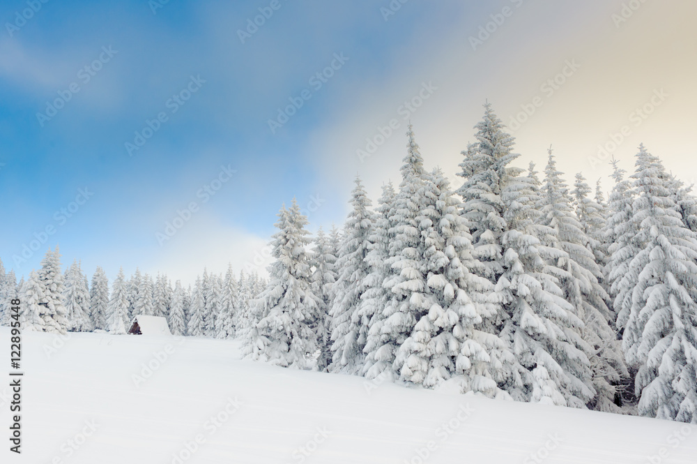 Snowy winter in mountains