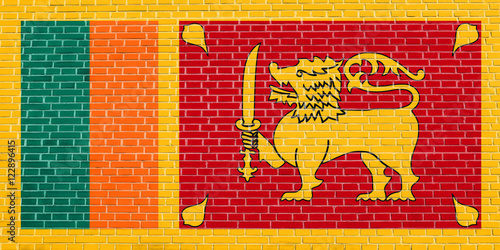 Flag of Sri Lanka on brick wall texture background