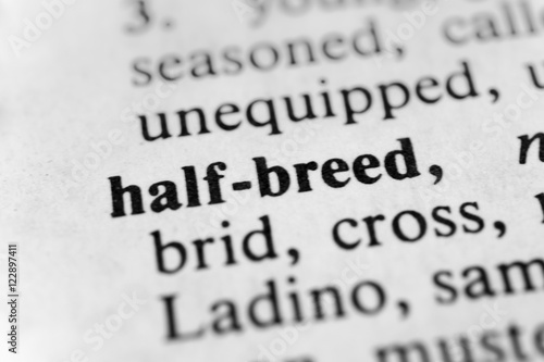 Canvas-taulu Half-breed