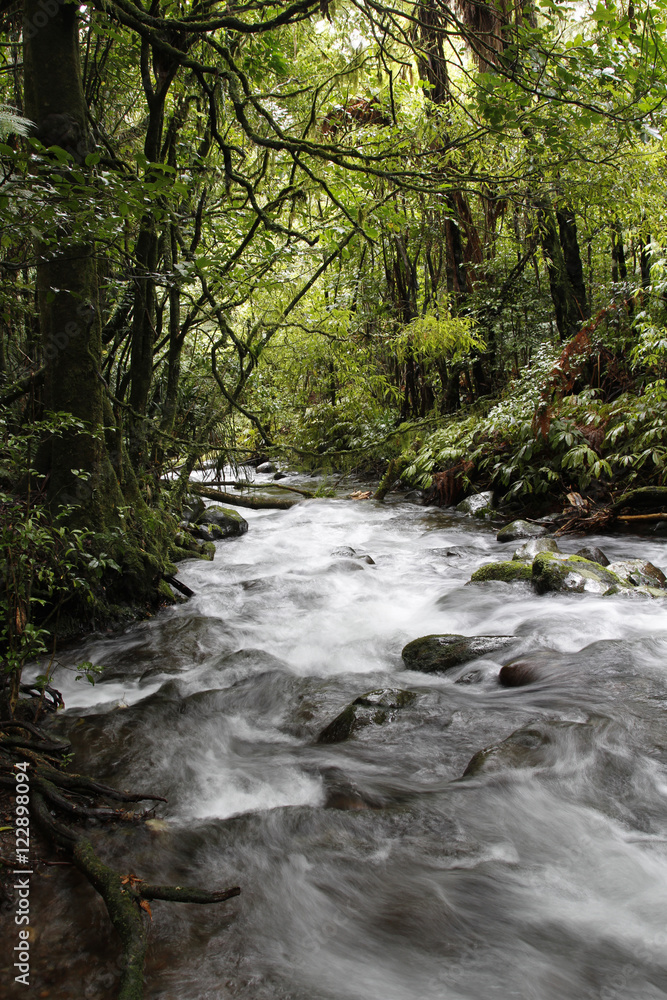 Obraz premium Stream